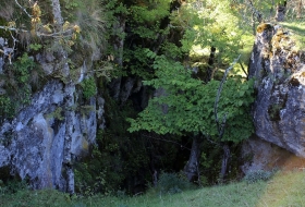 Aven de Dargilan