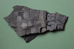09-12 Bois fossile, Toarcien inférieur L : 12cm