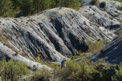 11-05 Toarcien moyen (l’après-midi): La solitude du fouilleur de fond