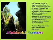 Diapositive15