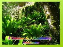 Diapositive16