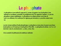 Diapositive30