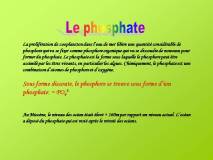 Diapositive31