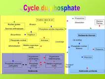 Diapositive32