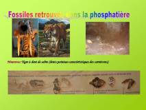 Diapositive34