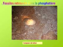 Diapositive35