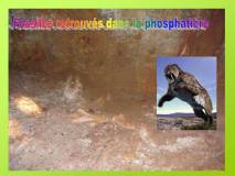 Diapositive36