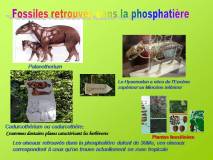Diapositive37