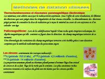 Diapositive41