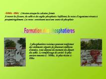 Diapositive6