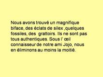 Bord-Loire (22)
