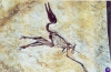 pterodactyle