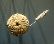 Au museum de La Rochelle: Balanocidaris marginata
