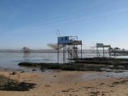 L\'environnement