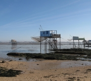 L\'environnement