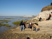 Barzan: inspection de l'estran