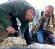 Jean Pierre et Tadeusz aux prises avec un oursin!