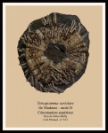 m-fini-copie-827x1024