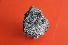 Actinote-Greiner-Zillertal-Autriche