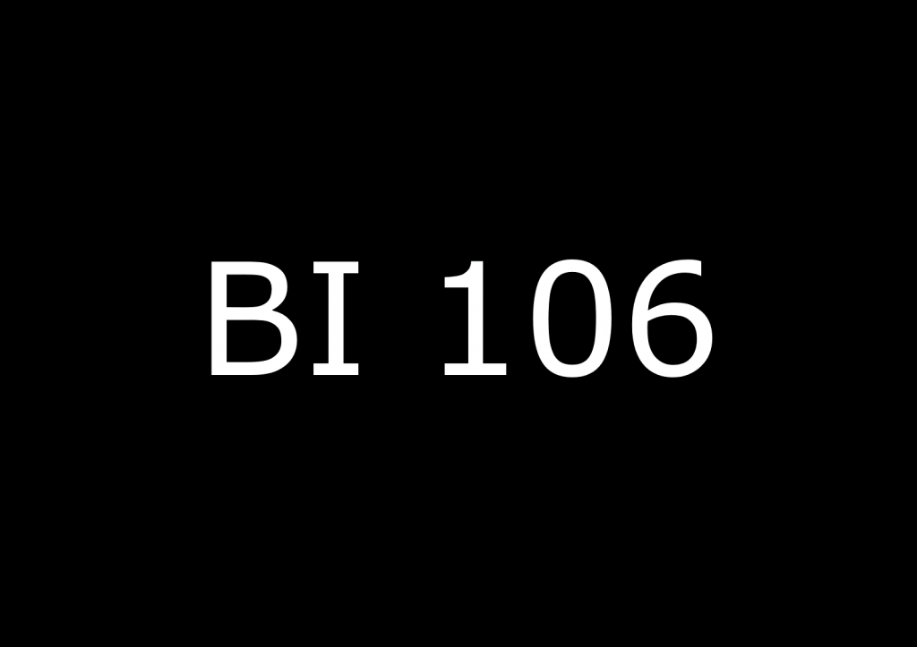 BI 106