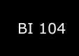 BI-104