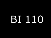 BI 110