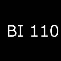 BI 110