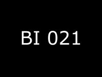 BI O21