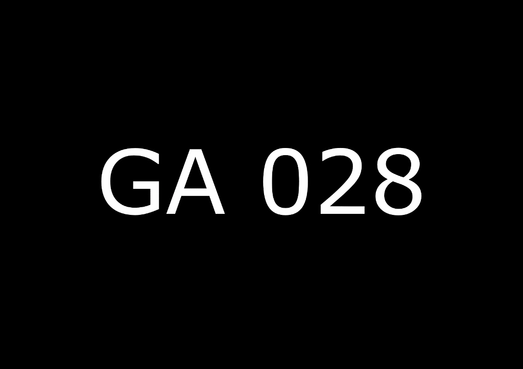 GA 028