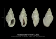 GA212-05 Unitas separata