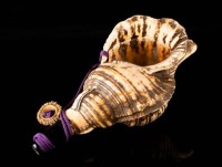 Charonia tritonis - Horagai - époque fin Edo -18eme s.