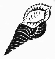Triton