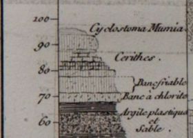 Coupe de Grignon par Cuvier et Brongniart (1810) - détail