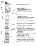Coupe de la falunière de Grignon levée par Jean-Pierre Gély et Didier Merle (d’après Guernet et al. 2012).