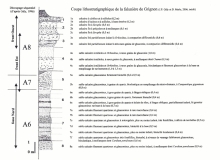 Grignon, coupe Gely et Merle 2006