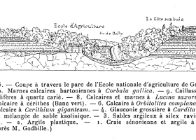 Coupe à travers le parc de l'école d'Agriculture de Grignon