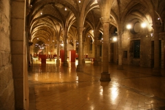 L'après midi, visite guidée du musée archeologique dans l'ancienne abbaye de Ste Bénigne. Préhistoire en Bourgogne et le sanctuaire gallo-romain dédié à la déesse Sequana.