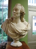 Le buste de Buffon (originaire de Montard-21) nous accueille à l'entrée de la salle d'exposition du laboratoire de Paléontologie.