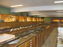 Une vue de la salle d'exposition.