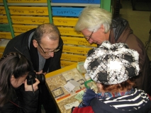 Observation d'un tiroir contenant du matériel en provenance des gisements de Vigny (Val d'Oise - co-stratotype du Danien), et Saint Lubin de la Haye (Eure et Loire).