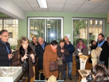 Observation de différentes pièces spectaculaires.