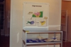 Vitrine1