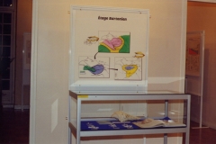 Vitrine1