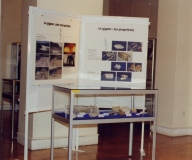 Vitrine2