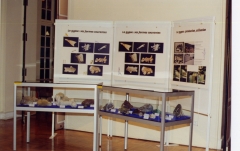 Vitrines