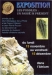 Affiche de l'expo 2000 "les fossiles, un passé si présent". 2