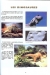 les dinosaures 1