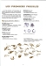 Les premiers fossiles