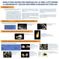 Similitude entre la faune lutétienne et la faune actuelle