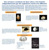 Mécanismes d'adaptation